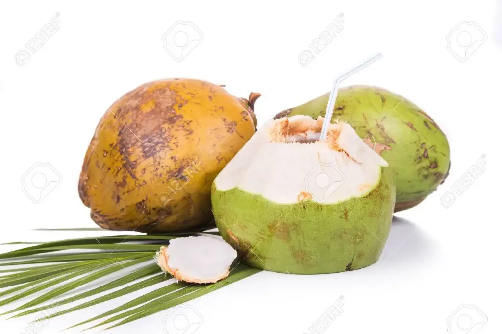 COCO UNIDAD