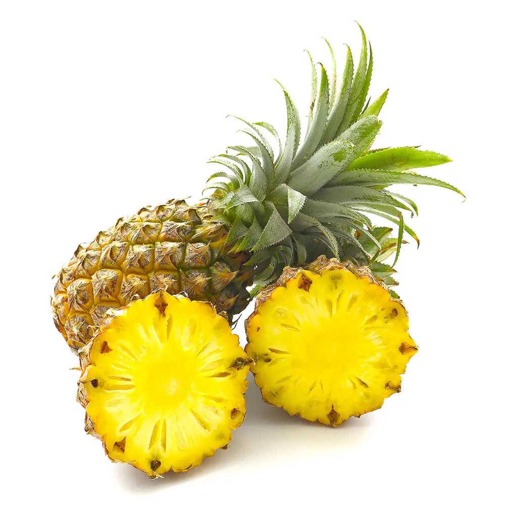PIÑA UNIDAD 
