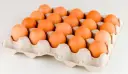 Huevos de Granja Jumbo Cartón 